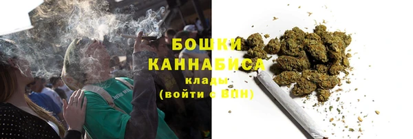 сатива Лабытнанги