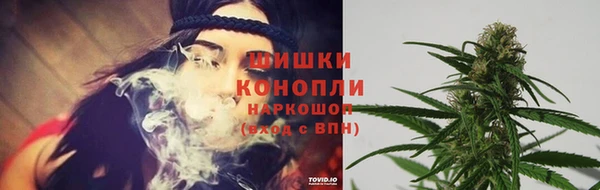 метадон Ладушкин