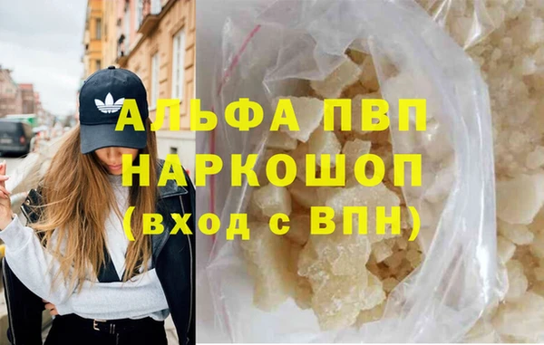 сатива Лабытнанги