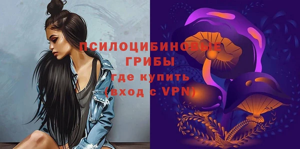 метадон Ладушкин