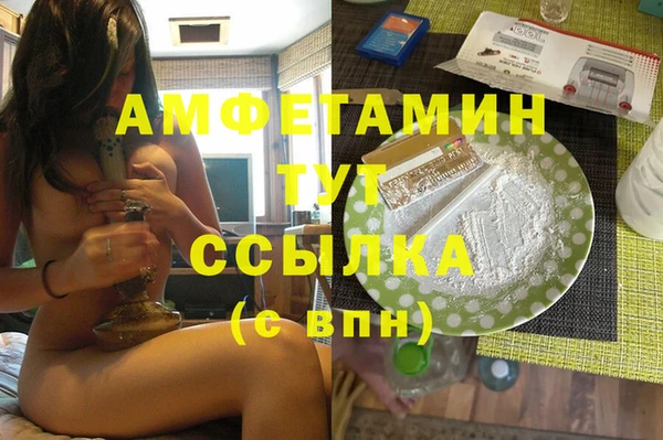 сатива Лабытнанги