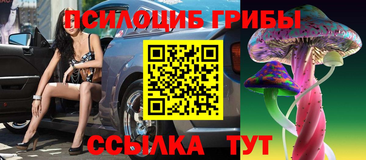 Псилоцибиновые грибы Psilocybine cubensis  Вход с VPN  Обь 