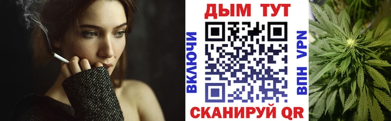 купить  цена  Обь  Конопля индика 